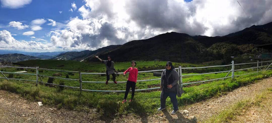 Taken by Teoh in Desa Dairy Farm, Kundasang.